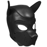 Neoprene Puppy Kit